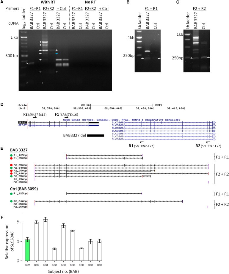 Figure 6