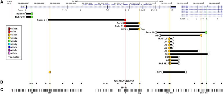 Figure 4