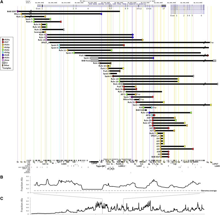 Figure 2