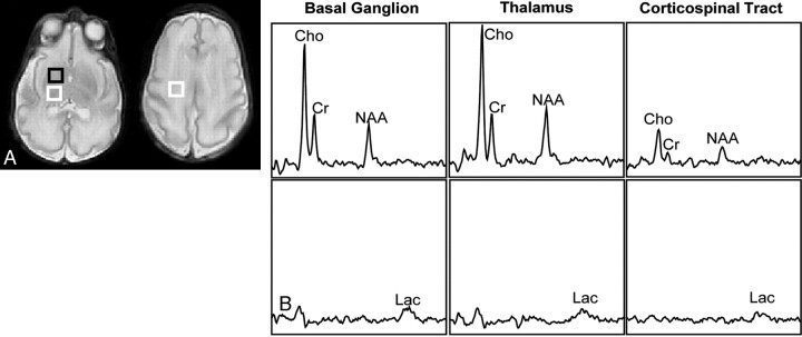 Fig 1.