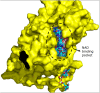 Figure 5: