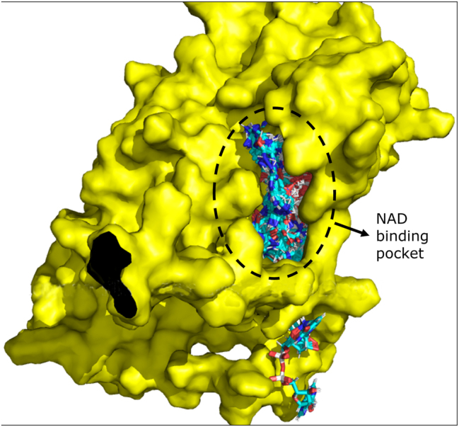 Figure 5: