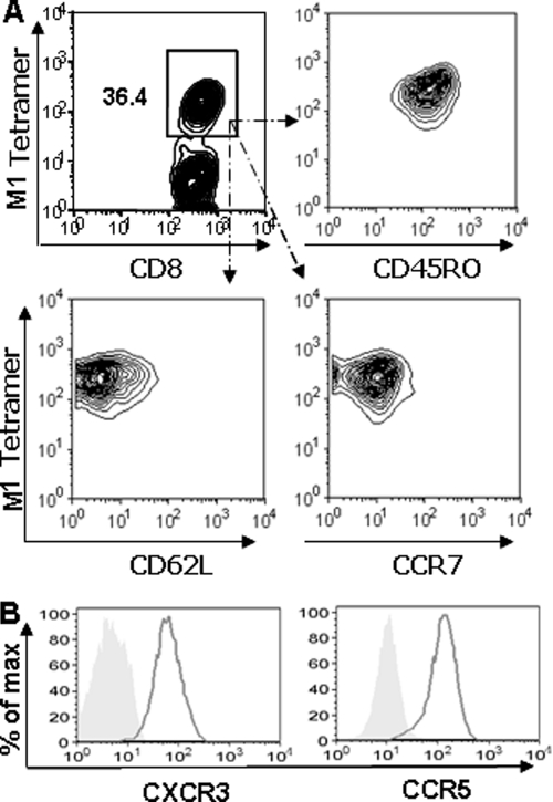 FIG. 5.