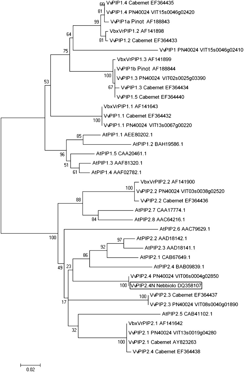 Figure 1.