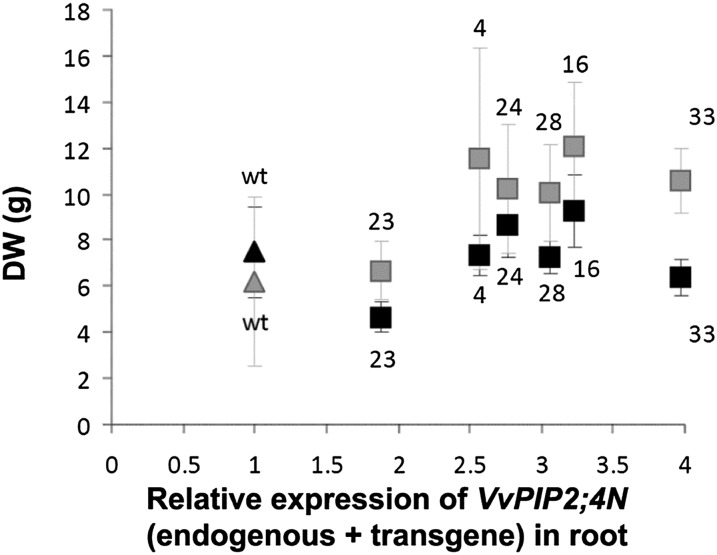 Figure 6.