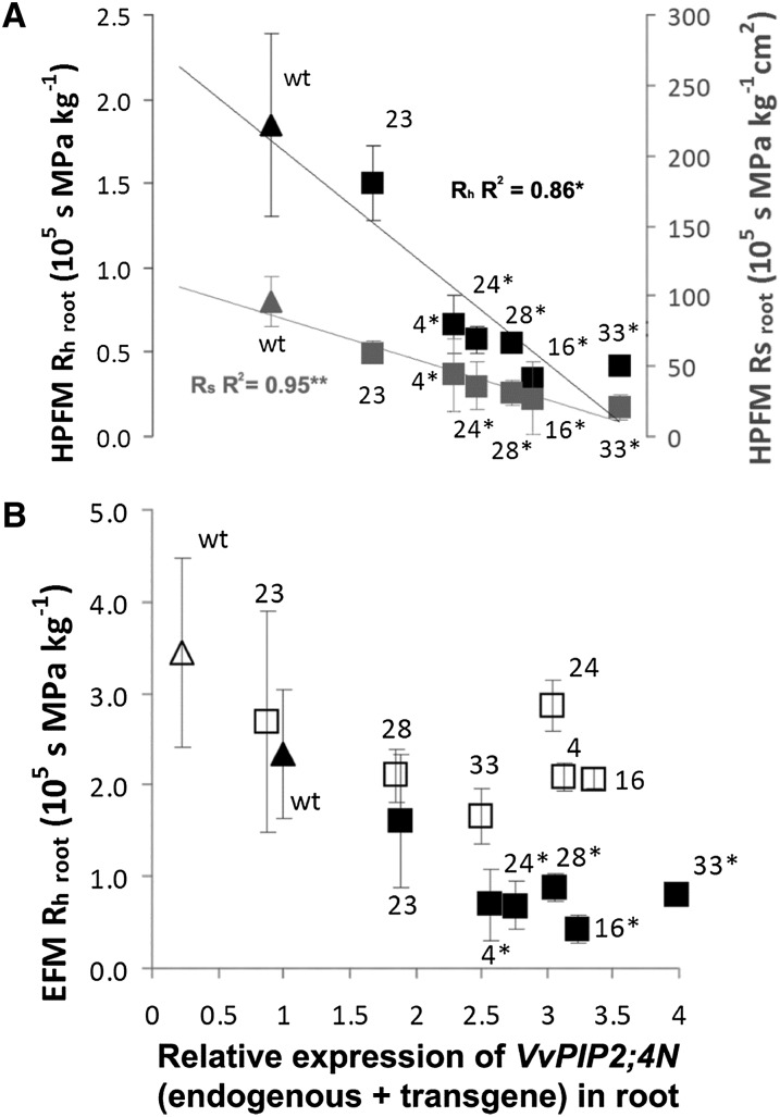 Figure 7.