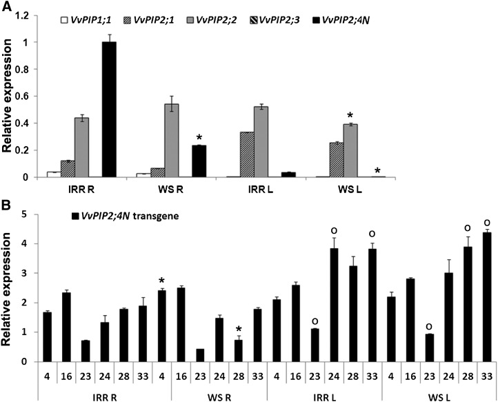 Figure 4.