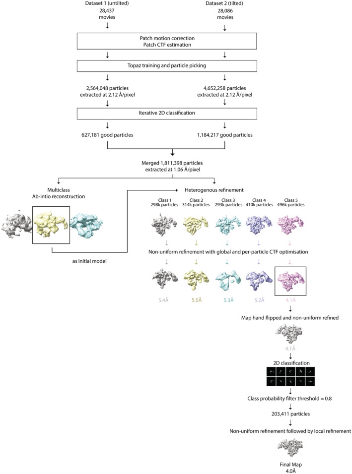 Figure EV3