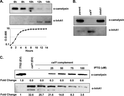 FIG. 6.