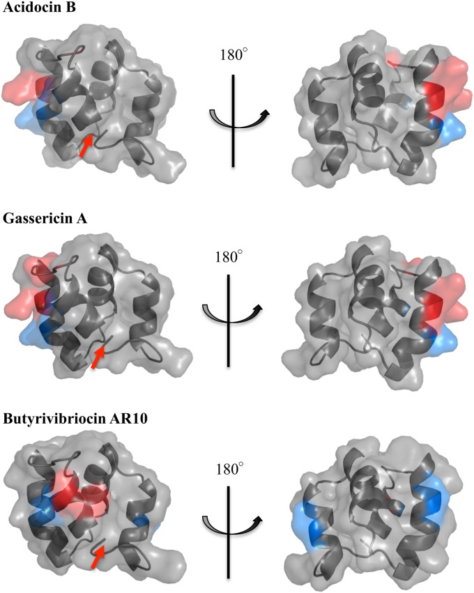 FIG 6