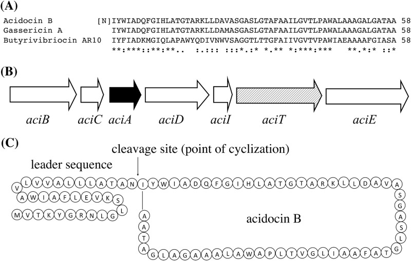 FIG 1