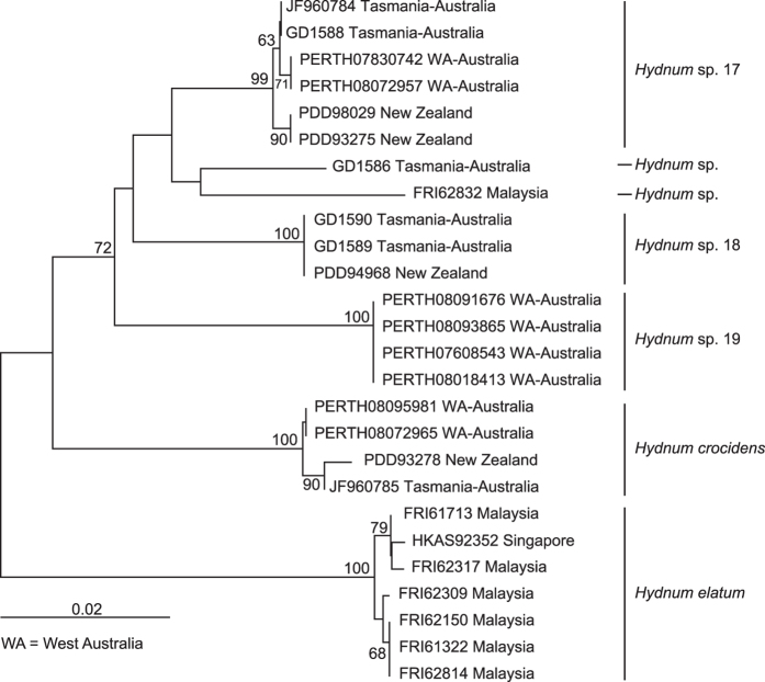 Figure 2