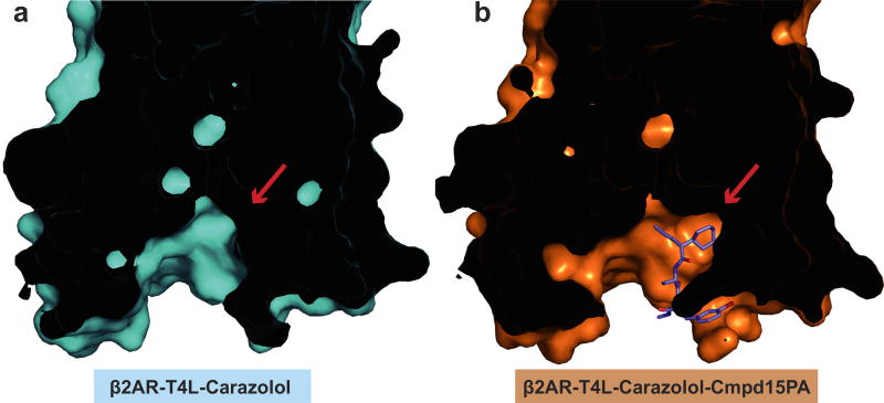 Extended Data Figure 5