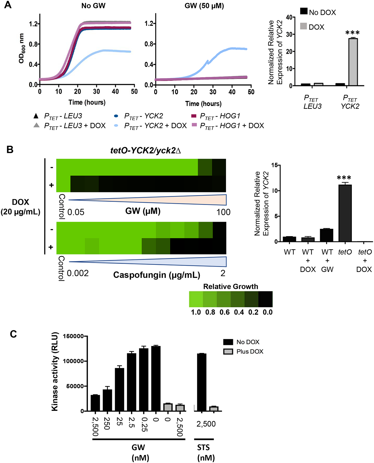 Figure 3: