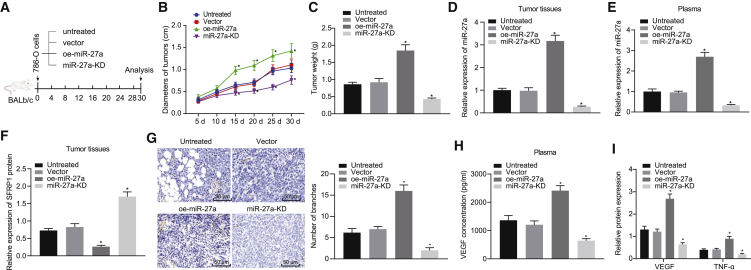 Figure 6