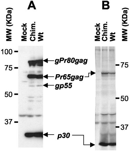 FIG. 4.