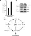 Fig. 5.