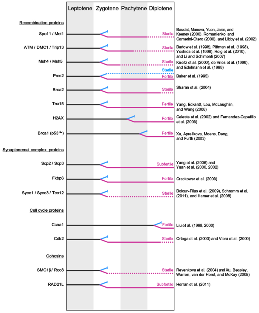 Figure 13.3