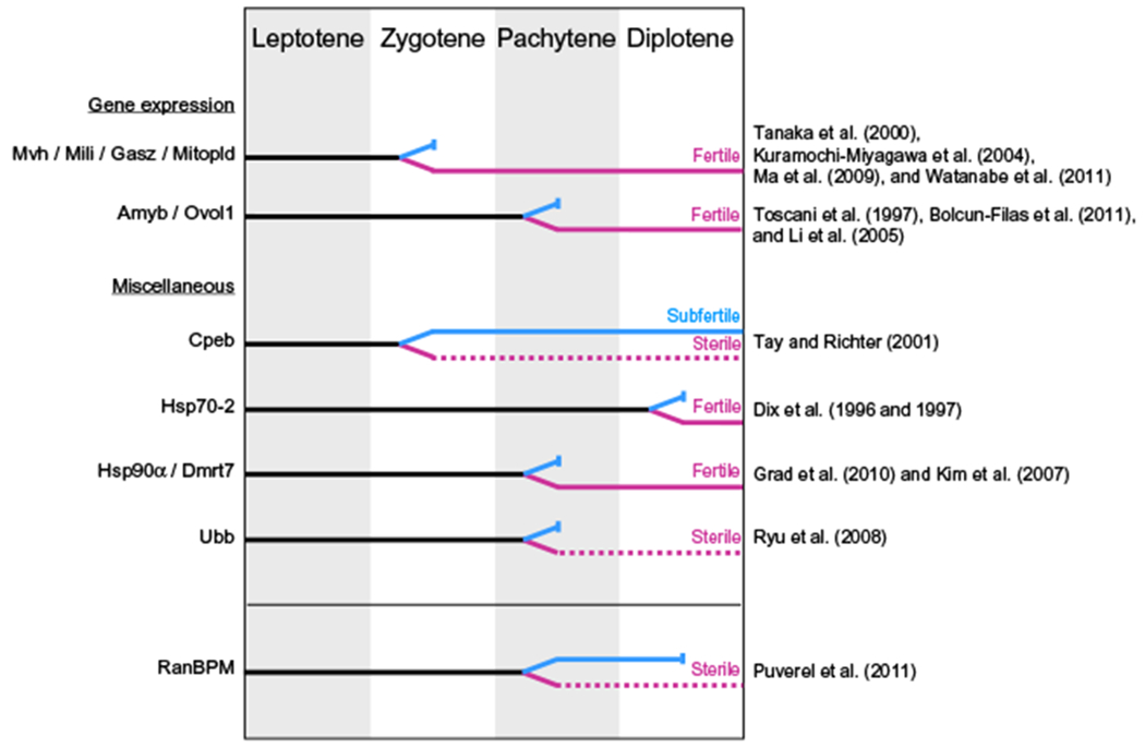 Figure 13.3