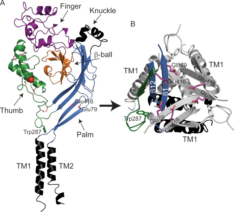 FIGURE 1.