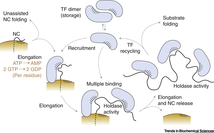 Figure 4