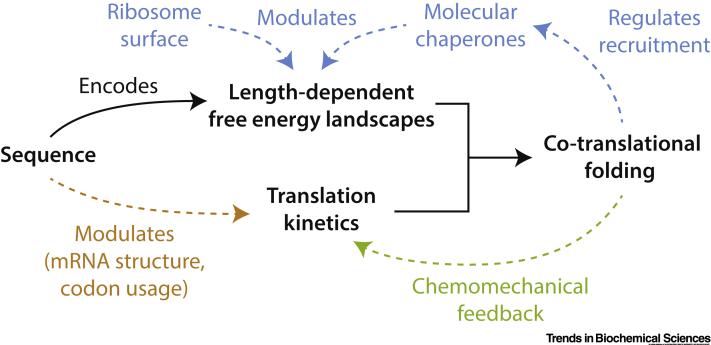 Figure 5