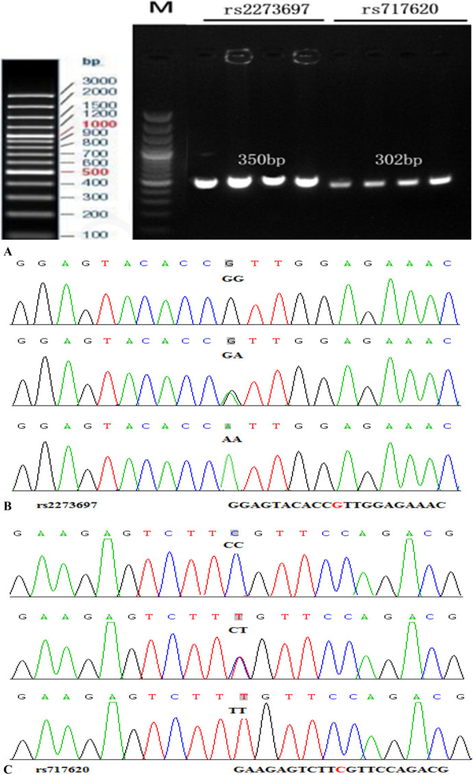 FIGURE 1.