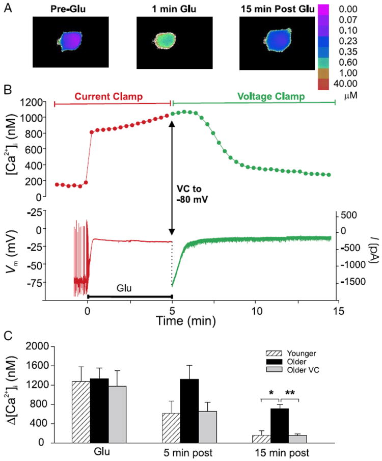 FIG. 7