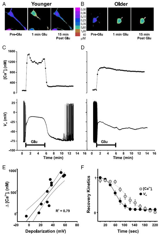 FIG. 6