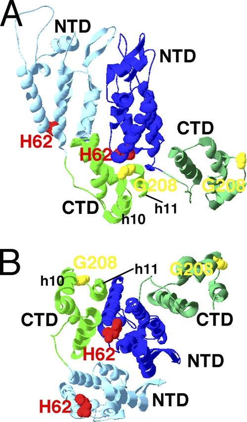 Fig. 6.