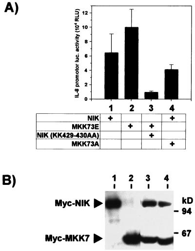 FIG. 7