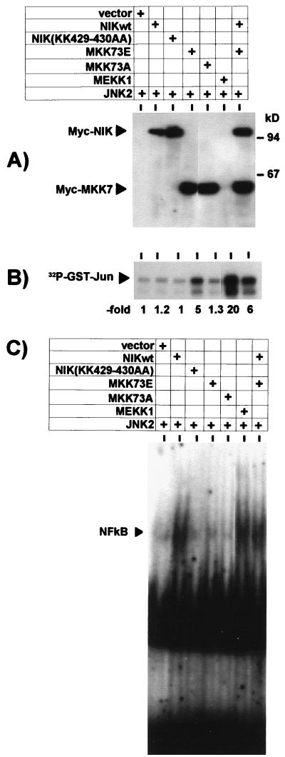 FIG. 5