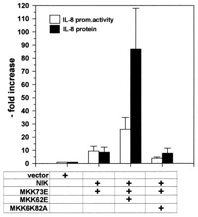 FIG. 10