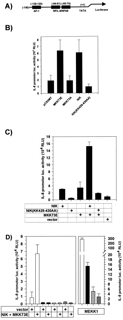 FIG. 6