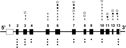 Figure  1