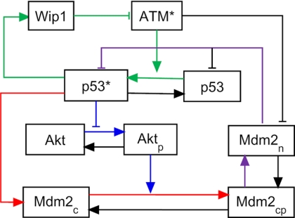 FIGURE 2.