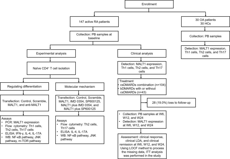 Figure 1