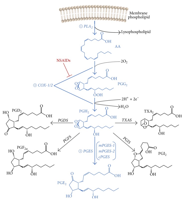 Figure 1