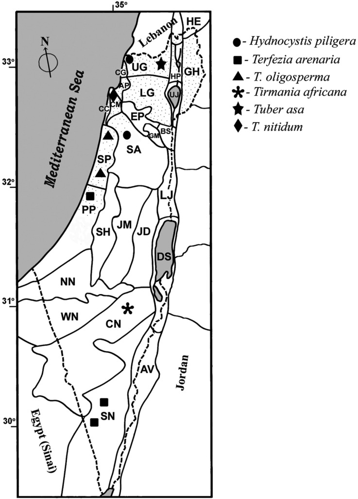 Fig. 3