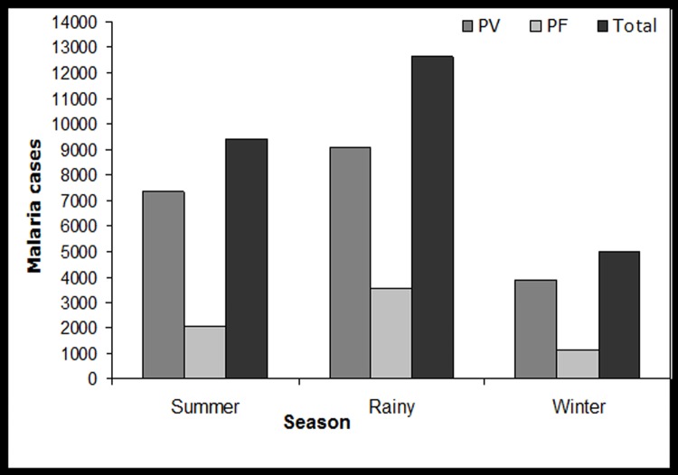 Fig 5