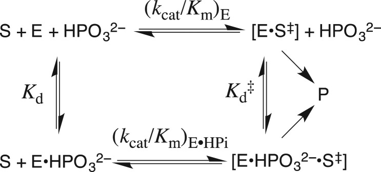 Scheme 6.