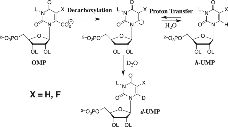 Scheme 4.