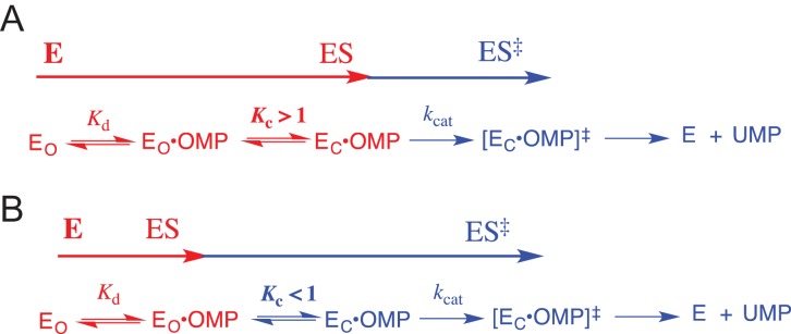 Scheme 3.