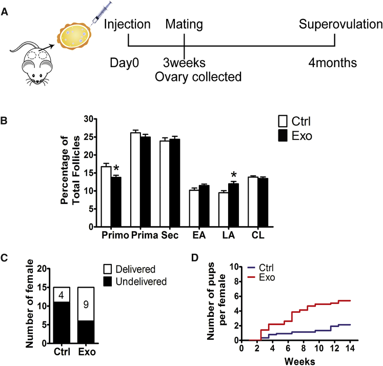 Figure 7