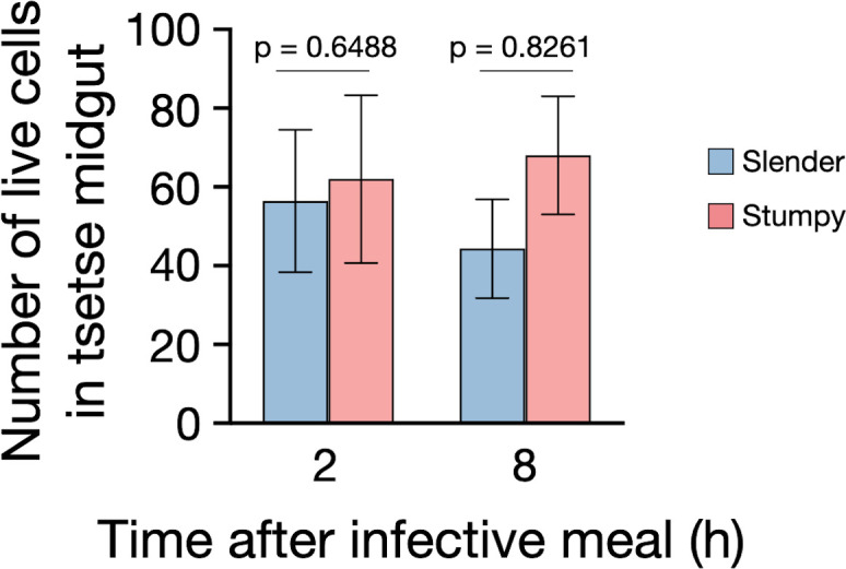 Figure 5—figure supplement 2.