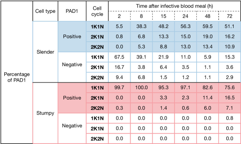 Figure 5—figure supplement 1.