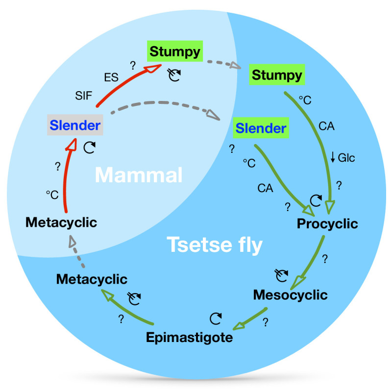 Figure 9.