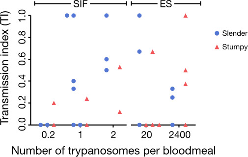 Figure 3—figure supplement 1.