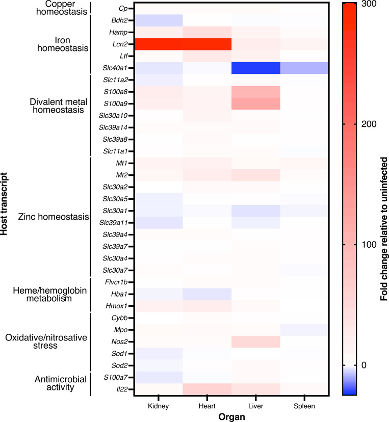 Fig 2