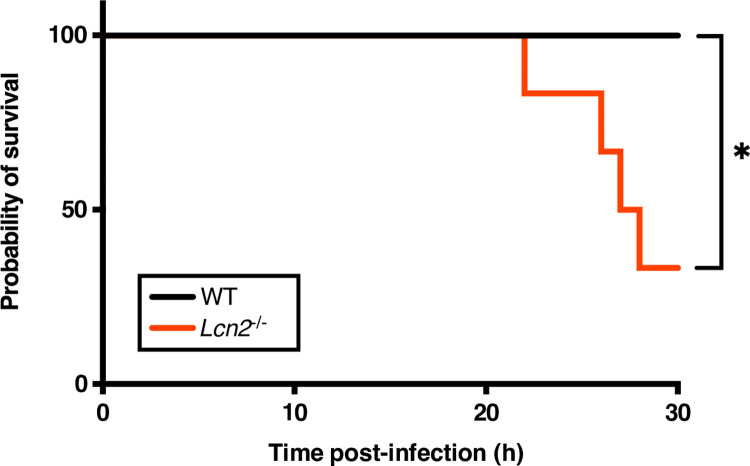 Fig 7